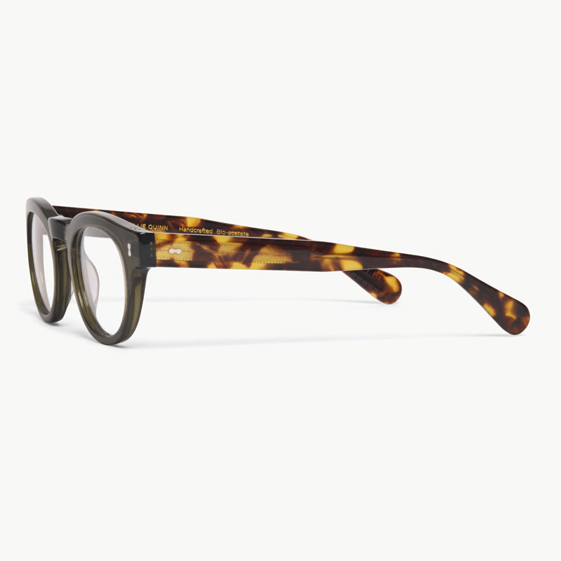 Olive x Havana
